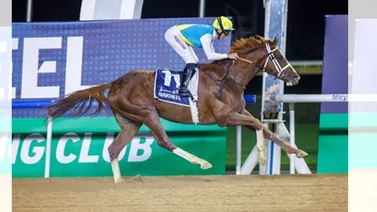 Conoce esta increíble historia de un caballo que correrá la Dubai Cup