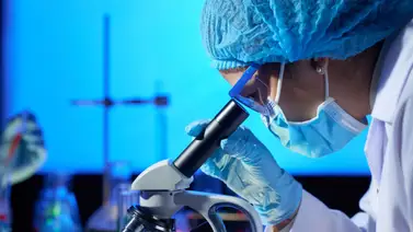 Científicos trabajan en este tratamiento para el cáncer en el cerebro Científicos trabajan en este tratamiento para el cáncer en el cerebro