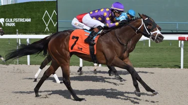 Jockeys de Puerto Rico se alzan con 5 de 8 programadas en Gulfstream Park