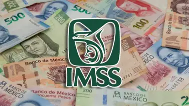 Aumento de la pensión del IMSS 2024: ¿Quiénes son los beneficiarios? Aumento de la pensión del IMSS 2024: ¿Quiénes son los beneficiarios?