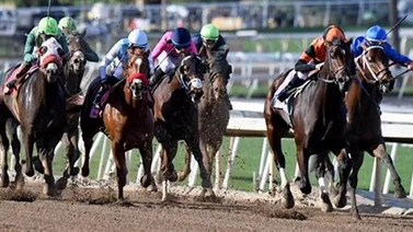 Batalla selectiva de los sprinters en estos stakes del sábado