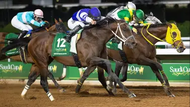 Mira que ejemplares empatan en el ranking para el mejor caballo del mundo Mira que ejemplares empatan en el ranking para el mejor caballo del mundo