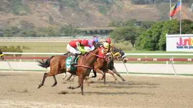 Mira cómo se ha visto en sus trabajos Dulce Abril Mira cómo se ha visto en sus trabajos Dulce Abril