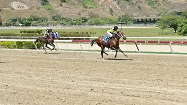 Mira la primera opción que lleva el entrenador David Palencia Mira la primera opción que lleva el entrenador David Palencia