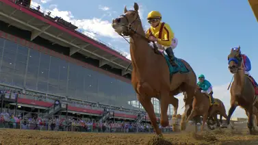 Nuevo proyecto de $400 Millones para reconstruir este hipódromo de Estados Unidos Nuevo proyecto de $400 Millones para reconstruir este hipódromo de Estados Unidos