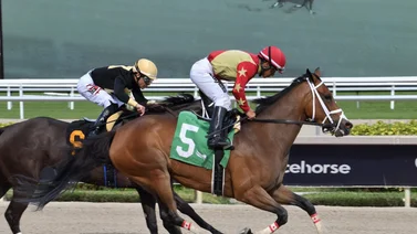 Así quedaron los resultados de las carreras Gulfstream Park 14-3-2024