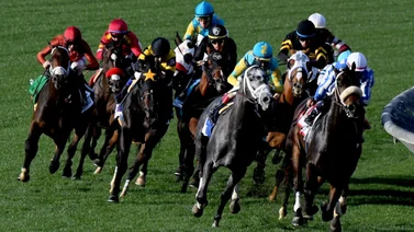 Aquí el Best Bet y los Tips para Santa Anita Park 15-03-2024