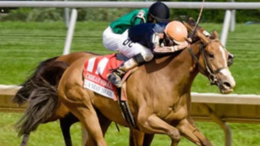 Jinete venezolano se destaca en este hipódromo de Estados Unidos