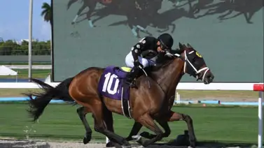 Jinete venezolano sigue con buena racha en Estados Unidos Jinete venezolano sigue con buena racha en Estados Unidos