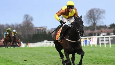 Legendario entrenador ganador de 100 eventos en este festival repite en la Gold Cup