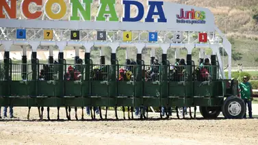 Este debutante cargó adentro en el ajuste del día miércoles Este debutante cargó adentro en el ajuste del día miércoles