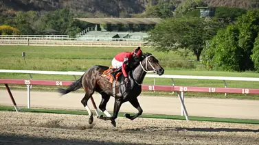 Mira lo que ocurrió con Calgary en su ajuste en La Rinconada Mira lo que ocurrió con Calgary en su ajuste en La Rinconada