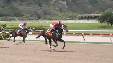 Este ejemplar trabajó fenómeno en los ajustes del jueves Este ejemplar trabajó fenómeno en los ajustes del jueves