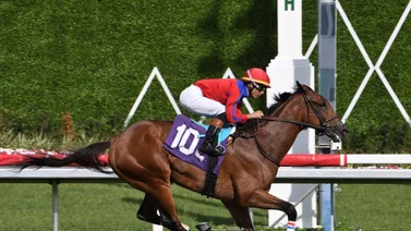 Así quedaron los resultados de las carreras Gulfstream Park 15-3-2024