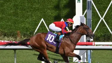 Así quedaron los resultados de las carreras Gulfstream Park 15-3-2024 Así quedaron los resultados de las carreras Gulfstream Park 15-3-2024