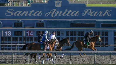Aquí el Best Bet y los Picks para Santa Anita Park 16-03-2024