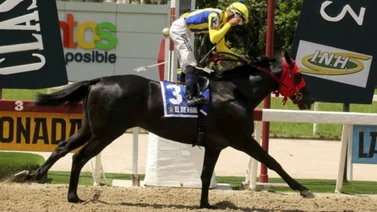 Datos de Última Hora para el Hipódromo La Rinconada 17-03-2024