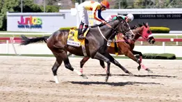 Aquí están los favoritos de la cátedra para el 5 y 6 Nacional de la Reunión N°10 en La Rinconada