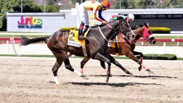 Aquí están los favoritos de la cátedra para el 5 y 6 Nacional de la Reunión N°10 en La Rinconada Aquí están los favoritos de la cátedra para el 5 y 6 Nacional de la Reunión N°10 en La Rinconada