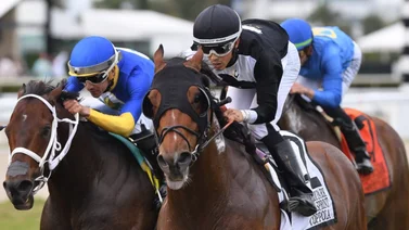 Así quedaron los resultados de las carreras Gulfstream Park 16-03-2024
