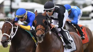 Así quedaron los resultados de las carreras Gulfstream Park 16-03-2024 Así quedaron los resultados de las carreras Gulfstream Park 16-03-2024