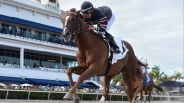 Jockey boricua se lleva el Hutchenson Stakes de $100.000 con Beeline
