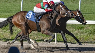 Jockey de Puerto Rico se anota el Cicada Stakes de $100.000 con Ghalia Princess
