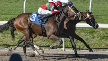 Jockey de Puerto Rico se anota el Cicada Stakes de $100.000 con Ghalia Princess Jockey de Puerto Rico se anota el Cicada Stakes de $100.000 con Ghalia Princess