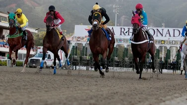 Aquí los retirados de la reunión N°10 del Hipódromo La Rinconada este domingo 17-03-2024