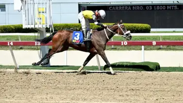 Daniela Runner hace suya la victoria en el Clásico Gustavo J. Sanabria (Grado II) de 2024 Daniela Runner hace suya la victoria en el Clásico Gustavo J. Sanabria (Grado II) de 2024