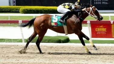 ¡Se disparó! Nuevo Monto Récord en el 5 y 6 Nacional de este domingo