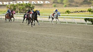 Conoce quién es el jinete que ha ganado más clásicos en el 2024 en La Rinconada 