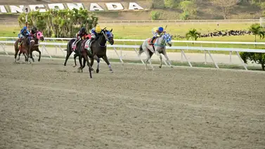 Conoce quién es el jinete que ha ganado más clásicos en el 2024 en La Rinconada Conoce quién es el jinete que ha ganado más clásicos en el 2024 en La Rinconada