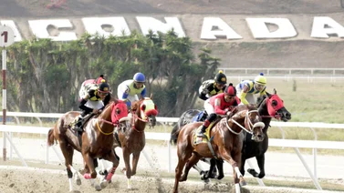 Conoce lo que pasó con estos ejemplares el domingo en La Rinconada (+resolución)