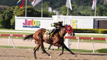 Esto informó Jhonathan Aray acerca de su conducido Feedstock en La Rinconada Esto informó Jhonathan Aray acerca de su conducido Feedstock en La Rinconada