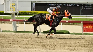 Este es el tiempo que tenía Arnaldo Chirinos sin ganar una carrera en La Rinconada