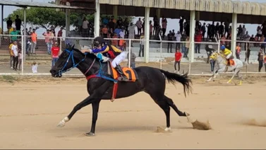 Este joven jinete logra su segunda victoria con apenas 12 años (+video)