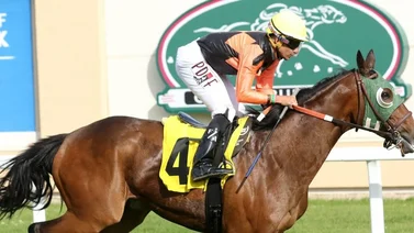 Fin de semana positivo para este jockey criollo en Estados Unidos