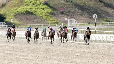 Undécima reunión en el Hipódromo Internacional La Rinconada con 10 competencias Undécima reunión en el Hipódromo Internacional La Rinconada con 10 competencias