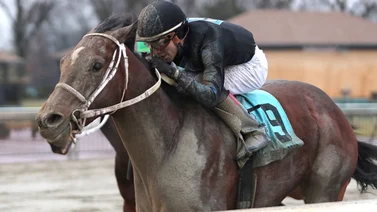 Jockey venezolano va al Wood Memorial (G2) con ganador clásico 