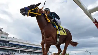 Dos entrenadores venezolanos por 100 puntos al Kentucky Derby este sábado Dos entrenadores venezolanos por 100 puntos al Kentucky Derby este sábado
