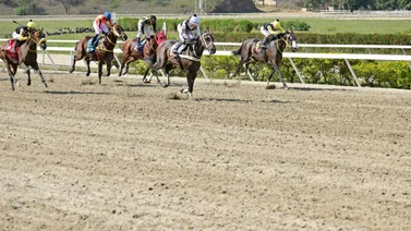 Abraham Campos inscribe caballo que tiene 133 días sin correr en La Rinconada