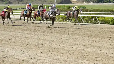 Abraham Campos inscribe caballo que tiene 133 días sin correr en La Rinconada Abraham Campos inscribe caballo que tiene 133 días sin correr en La Rinconada