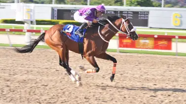 Miguel Cortez retorna purasangre que tiene 189 sin correr en La Rinconada Miguel Cortez retorna purasangre que tiene 189 sin correr en La Rinconada