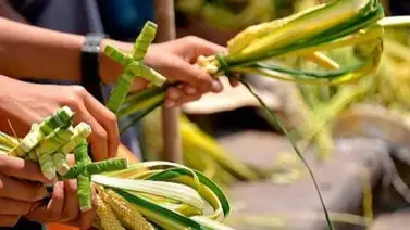 Historia de los Palmeros de Chacao Historia de los Palmeros de Chacao