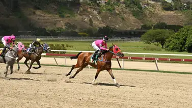 Yegua que está invicta en 2024 reaparece después de 42 días en La Rinconada Yegua que está invicta en 2024 reaparece después de 42 días en La Rinconada