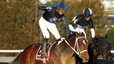 Jockey venezolano alcanza cifra importante de victorias en Estados Unidos