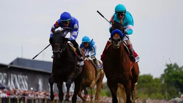 Duelo de campeones boricuas en 5 stakes este sábado en Estados Unidos