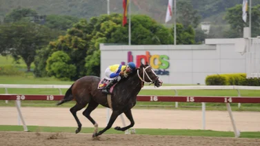 Nieto de Wáter Poet reaparece después de 175 días sin correr en la La Rinconada