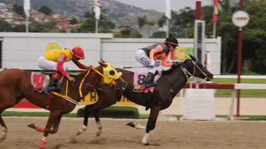 Yegua reaparece luego de 140 días sin correr Yegua reaparece luego de 140 días sin correr